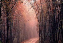 刘国梁建言WTT:取消强制参赛政策新华社.