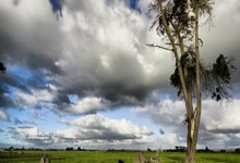 看到姆巴佩打进任意球后,看台上的妈妈深吸一口电子烟73.