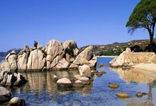 《天天耍大牌》 《联邦大作战》海选济南举行.